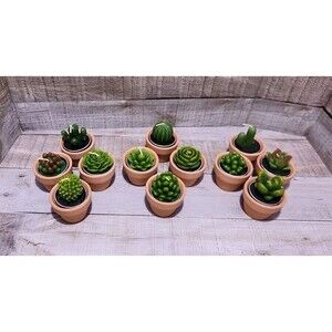 12 Pcs Succulent Cactus Tealight Candles Baby Shower Plant Candles Bridal Shower